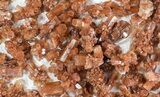 Lot: Small Twinned Aragonite Crystals - Pieces #78105-1